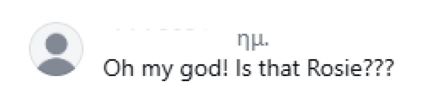 Αντιδράσεις για την εμφάνιση της Ρόζι Χάντινγκτον: «Χριστέ μου τι πάει λάθος με το πρόσωπό της;»