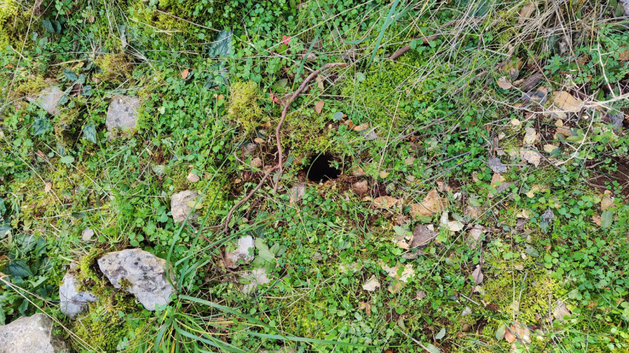 astynomia-arxaiaologia-_3_