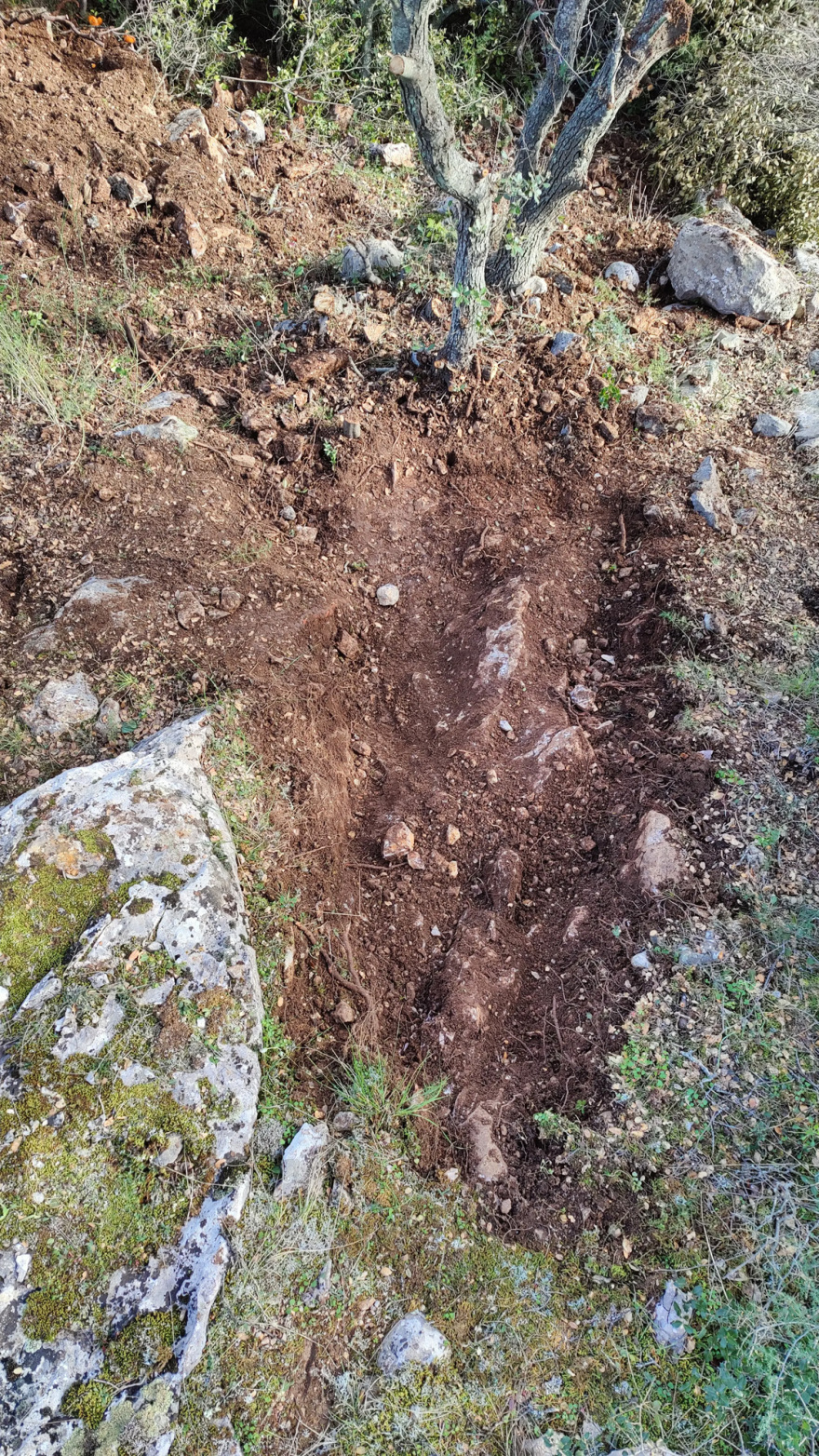 astynomia-arxaiaologia-_5_