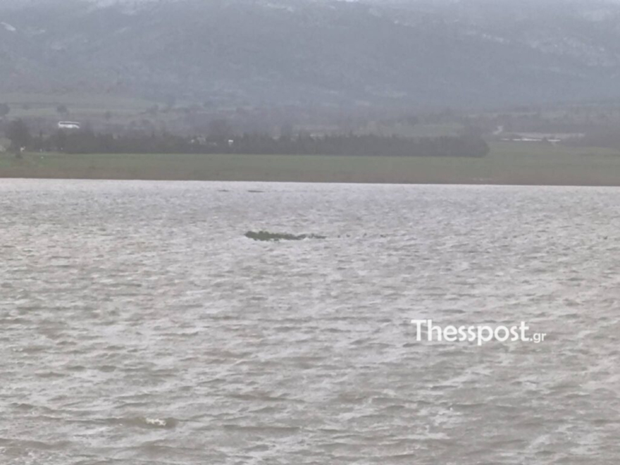 Μάχη για να σωθούν οικισμοί στον Έβρο, έσπασαν τα αναχώματα, πλημμύρισαν πάνω από 100.000 στρέμματα 