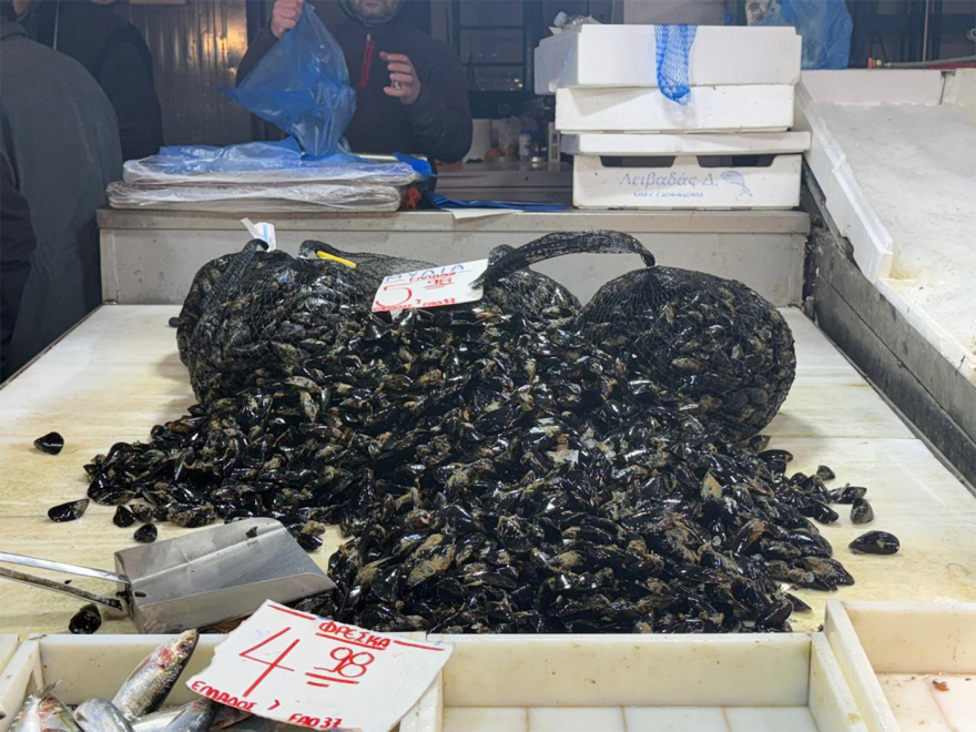 Καθαρά Δευτέρα: Για τα ψώνια της τελευταίας στιγμής ο κόσμος σήμερα στη Βαρβάκειο, «τσιμπημένες» οι τιμές σε σχέση με πέρυσι