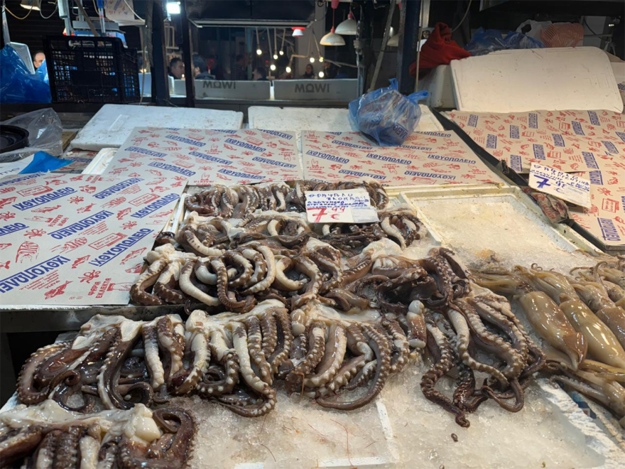 Καθαρά Δευτέρα: Για τα ψώνια της τελευταίας στιγμής ο κόσμος σήμερα στη Βαρβάκειο, «τσιμπημένες» οι τιμές σε σχέση με πέρυσι