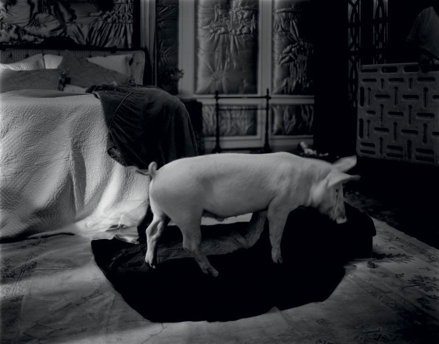 Γιώργος Λάνθιμος: Η πρώτη του έκθεση φωτογραφίας στην Ελλάδα