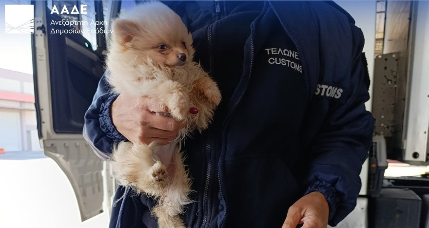 Ναρκωτικά, λαθραία τσιγάρα, αδήλωτο συνάλλαγμα σε μετρητά και… ρούβλια εντόπισε η ΑΑΔΕ: Σαρωτικοί έλεγχοι με X-Ray και τον Έλβις