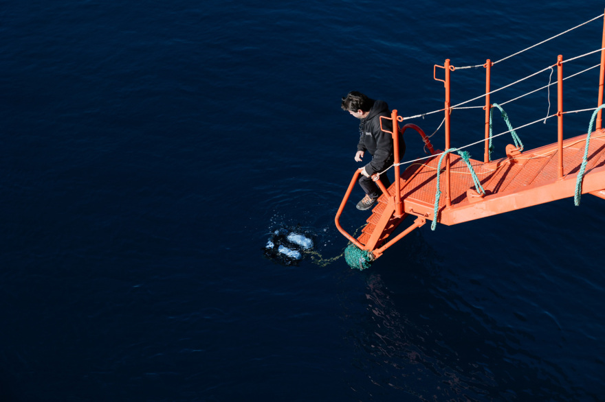 Μαγικές υποθαλάσσιες εικόνες από το νέο ερευνητικό πρόγραμμα «Saronicos Project» του Ιδρύματος Αθανάσιος Κ. Λασκαρίδης
