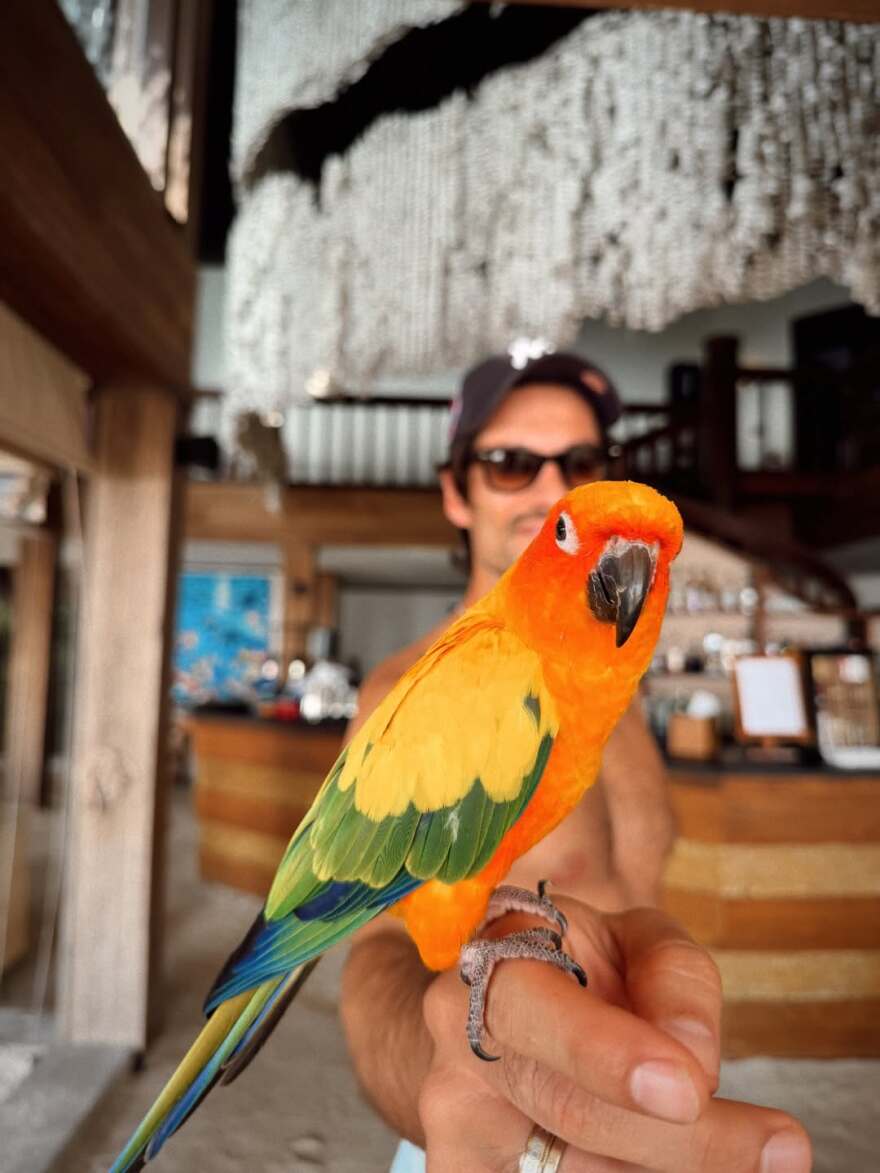 Ο Γιώργος Καράβας ταξίδεψε στις Μαλδίβες: Πρώιμο καλοκαίρι, γράφει 
