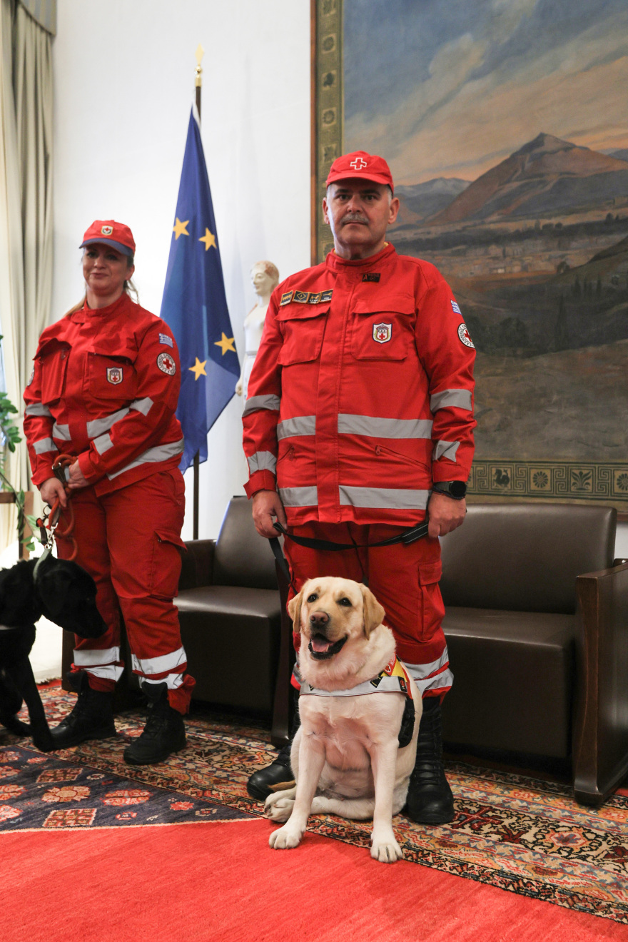 Δωρεά σκύλων διασωστών από τη Βουλή, ο King και η Kira στο δυναμικό του Ερυθρού Σταυρού