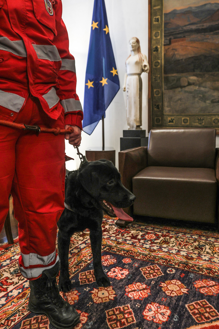 Δωρεά σκύλων διασωστών από τη Βουλή, ο King και η Kira στο δυναμικό του Ερυθρού Σταυρού
