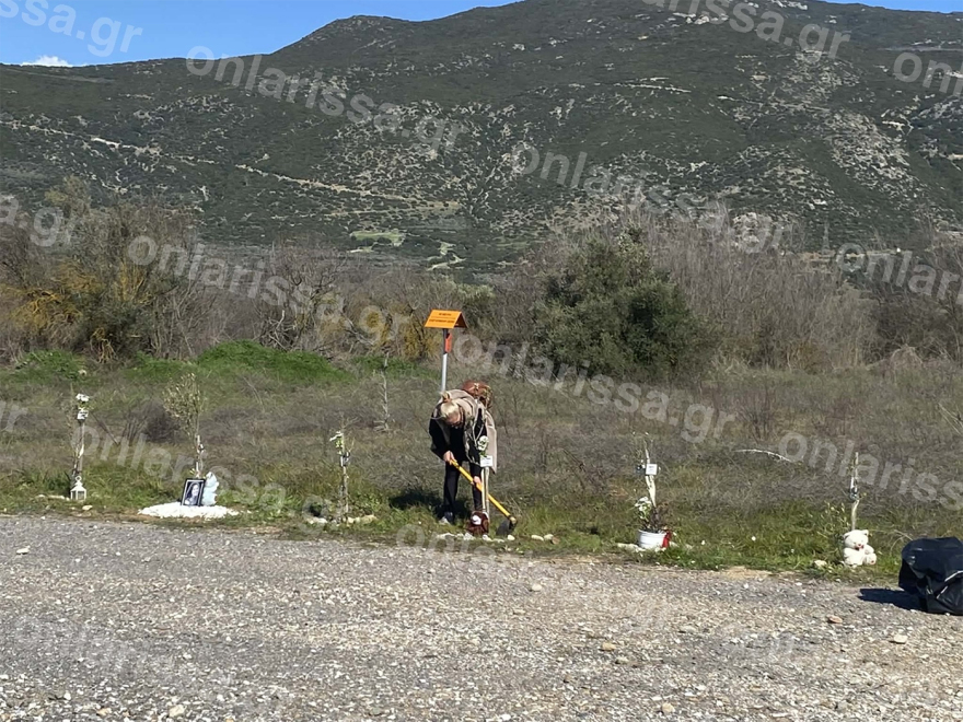 Στα Τέμπη μαθητές από εννέα χώρες για τη φροντίδα των 57 δενδρυλλίων ελιάς στον χώρο του δυστυχήματος, δείτε φωτογραφίες
