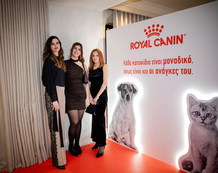 Save a Greek Stray Annual Party: Μία βραδιά που έγινε φωνή για τα αδέσποτα
