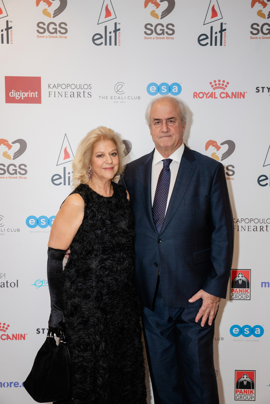 Save a Greek Stray Annual Party: Μία βραδιά που έγινε φωνή για τα αδέσποτα
