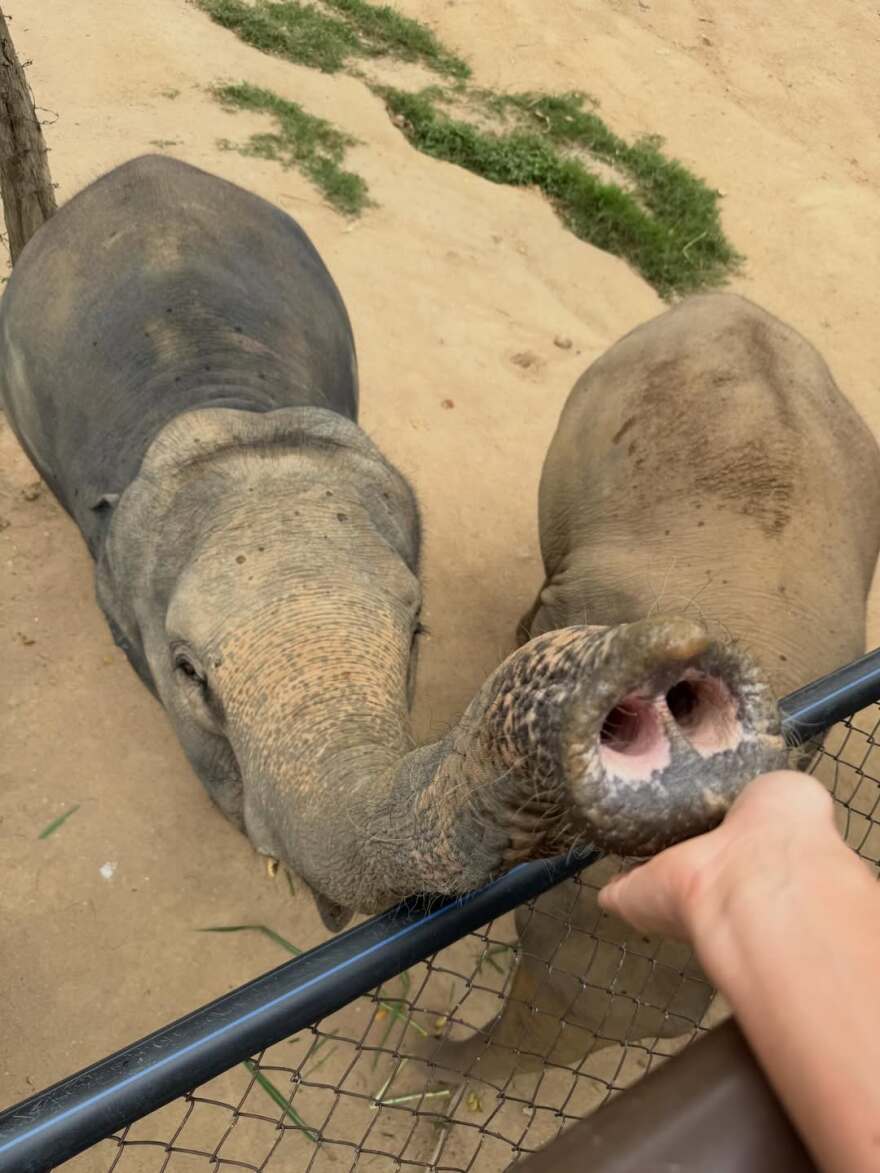 Ρία Ελληνίδου: Οι φωτογραφίες από το ταξίδι της στην Ταϊλάνδη