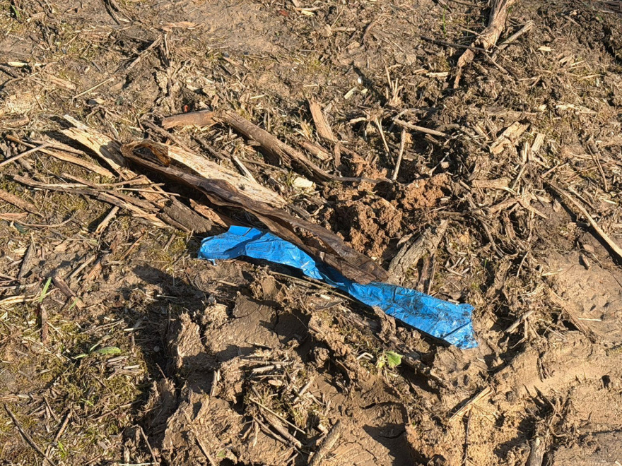 Μυστήριο με την μουμιοποιημένη σορό που εντοπίστηκε στη Χαλκιδική: Τι έδειξε η ιατροδικαστική