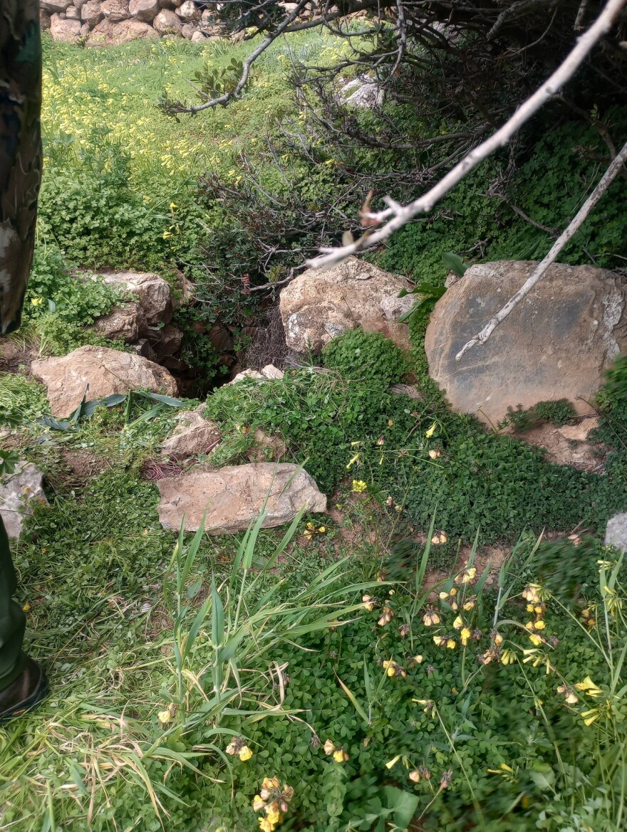 Διάσωση σκύλου από πηγάδι 15 μέτρων στη Σύρο, τον έψαχναν 10 μέρες οι κηδεμόνες του