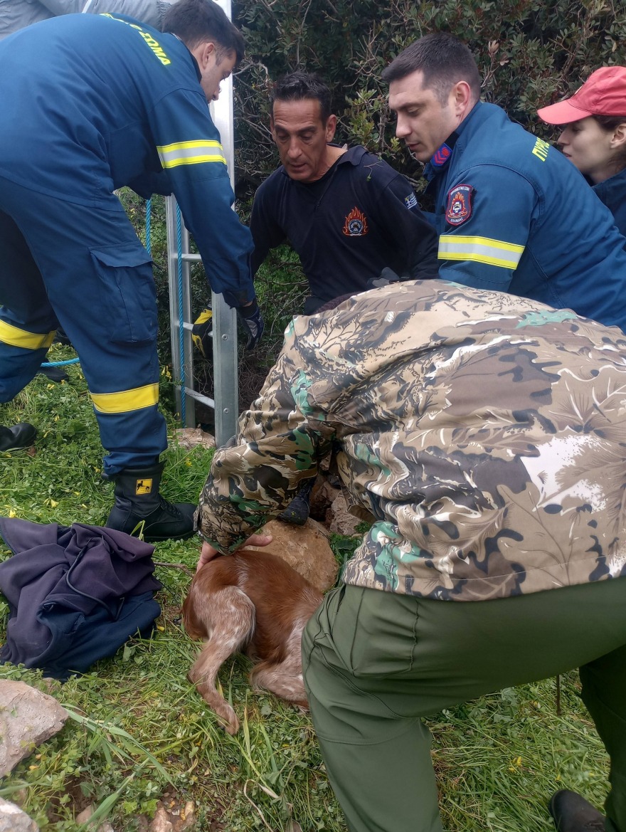 Διάσωση σκύλου από πηγάδι 15 μέτρων στη Σύρο, τον έψαχναν 10 μέρες οι κηδεμόνες του