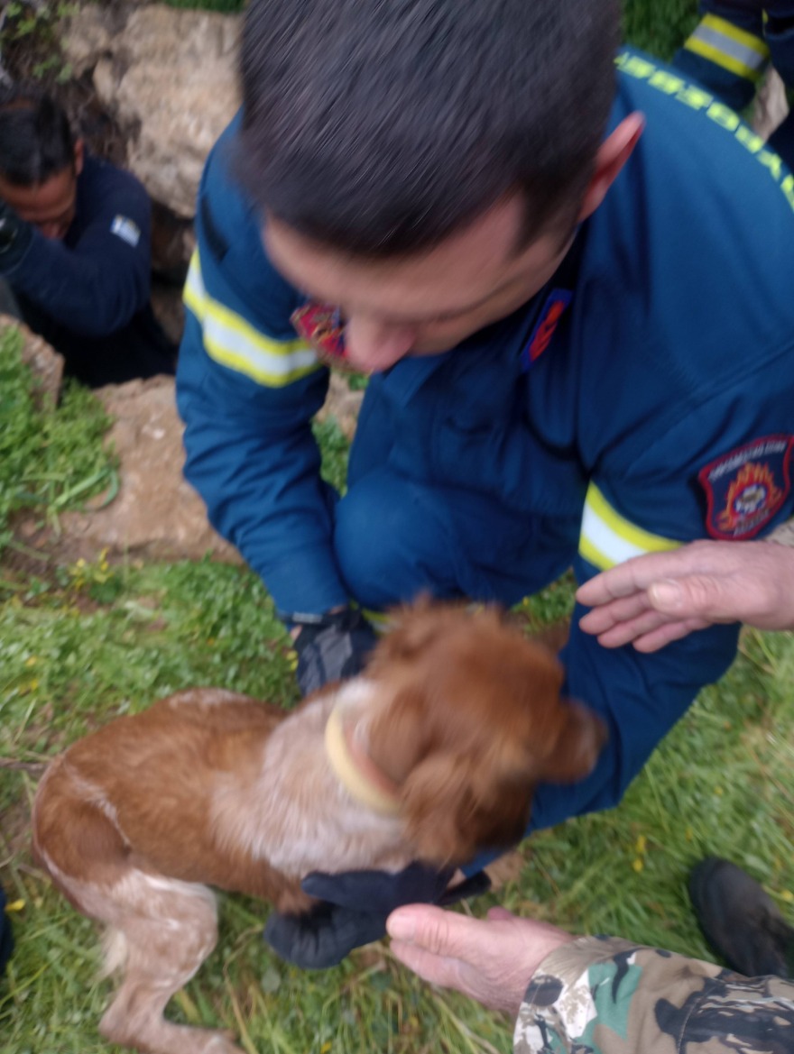 Διάσωση σκύλου από πηγάδι 15 μέτρων στη Σύρο, τον έψαχναν 10 μέρες οι κηδεμόνες του