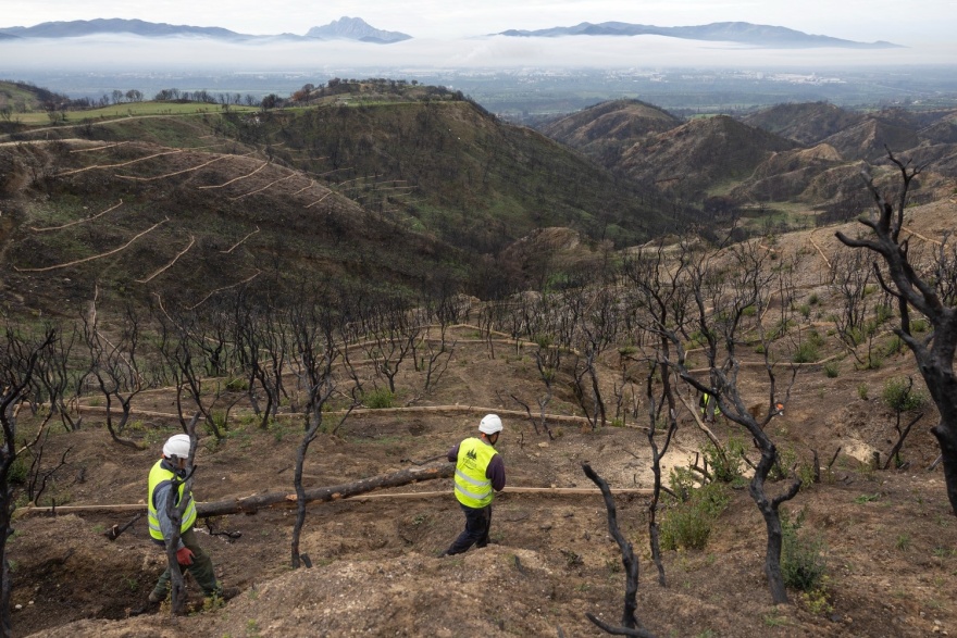 Μετά τις στάχτες: η αποκατάσταση της Αχαΐας μέσα από ανθρώπινες μαρτυρίες
