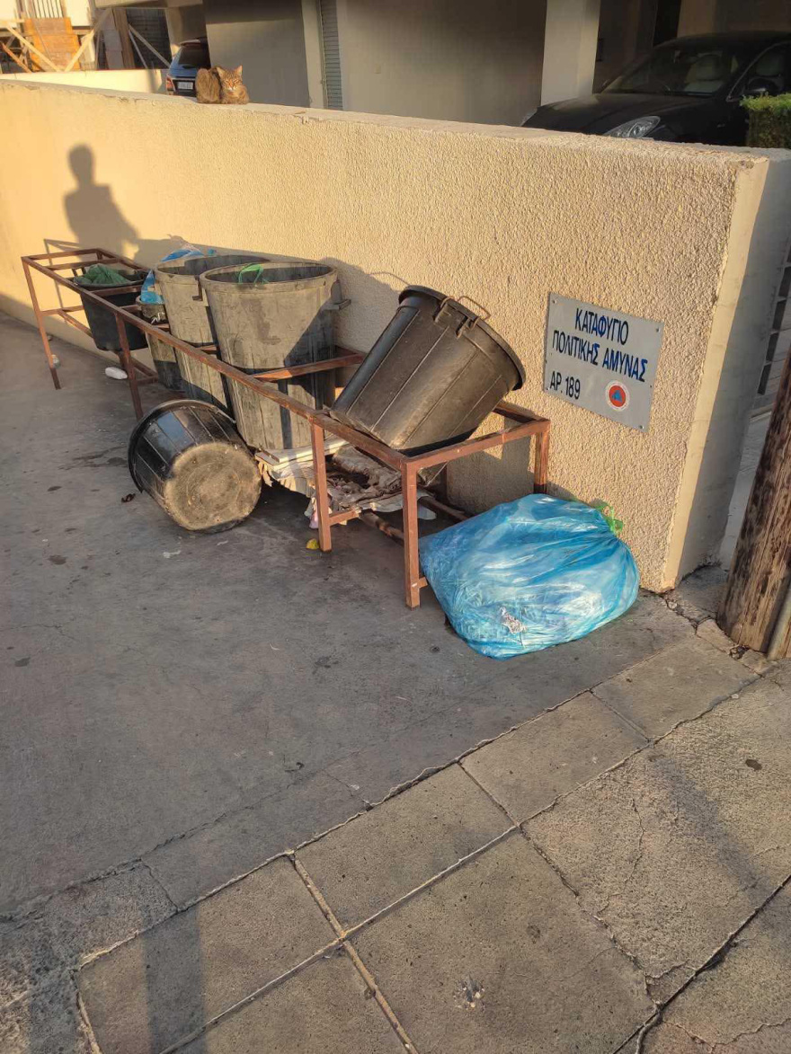 Απογοητευτικές εικόνες από καταφύγια στην Κύπρο: Σε πάρκινγκ πολυκατοικιών, αποθήκες και... κοτέτσια