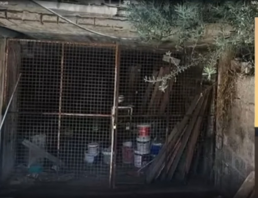 Απογοητευτικές εικόνες από καταφύγια στην Κύπρο: Σε πάρκινγκ πολυκατοικιών, αποθήκες και... κοτέτσια