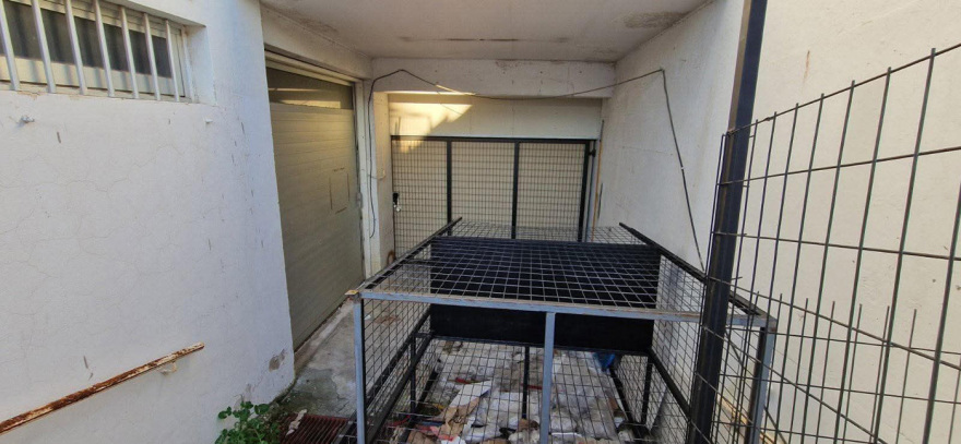 Απογοητευτικές εικόνες από καταφύγια στην Κύπρο: Σε πάρκινγκ πολυκατοικιών, αποθήκες και... κοτέτσια