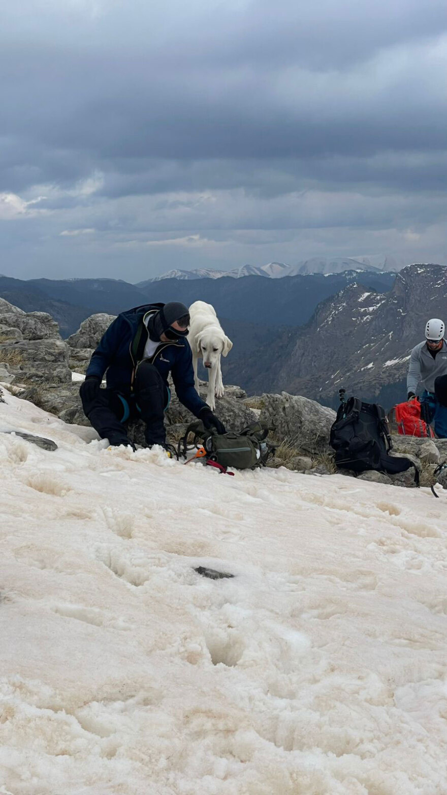 Σκύλος επέζησε 9 μέρες σε υψόμετρο 1.900 μ. στο Μέτσοβο, τον εντόπισαν τυχαία ορειβάτες και τον επέστρεψαν στον ιδιοκτήτη του, δείτε βίντεο