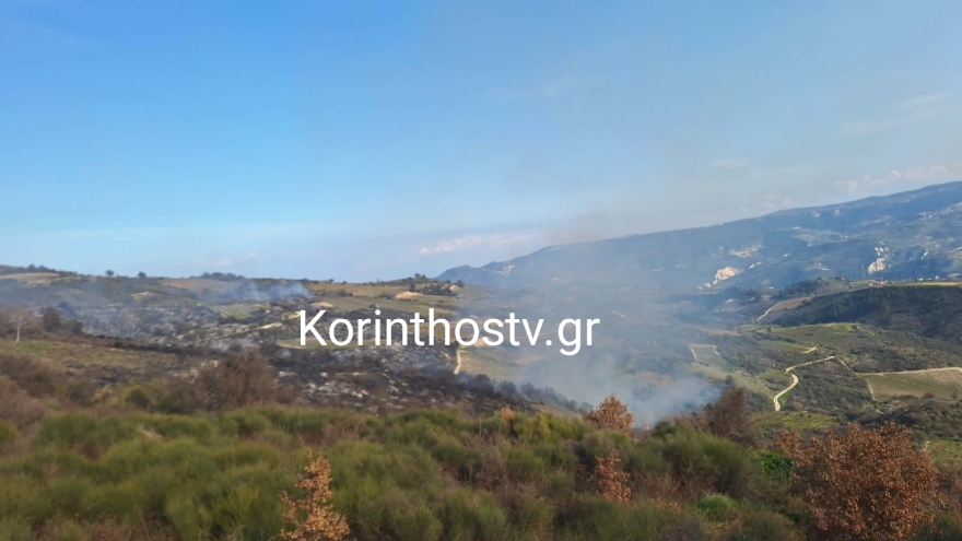 Καλύτερη η εικόνα της φωτιάς στα Σοφιανά Κορινθίας: Μεγάλη κινητοποίηση της Πυροσβεστικής, δείτε εικόνες