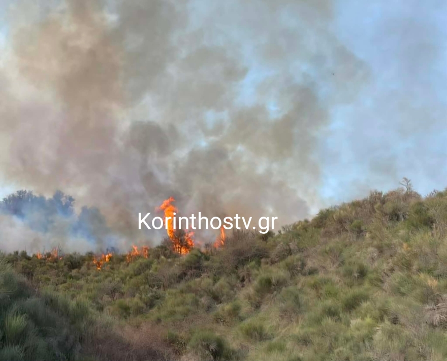 Φωτιά σε δασική έκταση στα Σοφιανά Κορινθίας: Μεγάλη κινητοποίηση της Πυροσβεστικής, δείτε εικόνες
