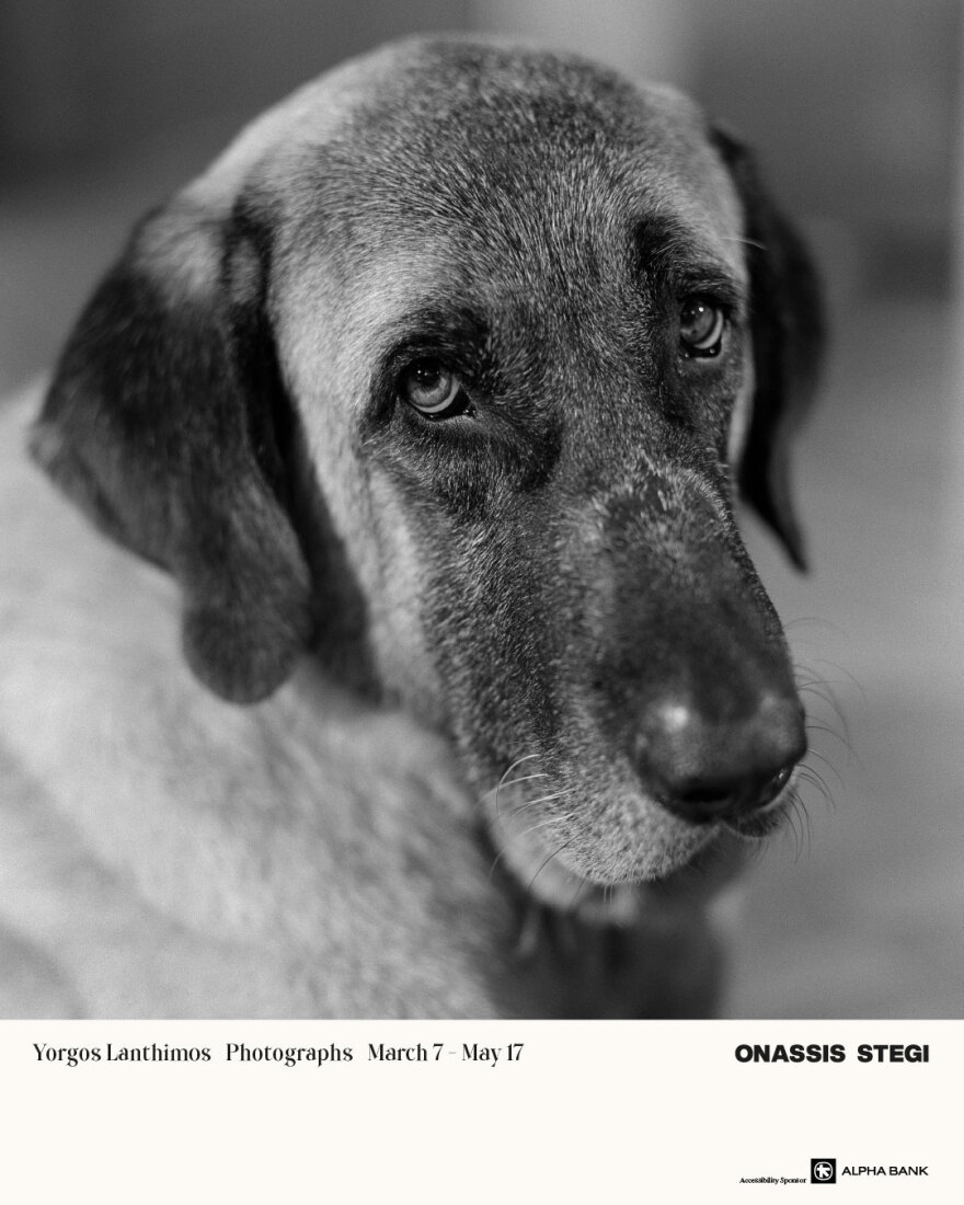 Μέσα απ’ το φωτογραφικό φακό του Γιώργου Λάνθιμου: «Κάθε σημαντικό πράγμα στη ζωή μου είναι μια εικόνα»