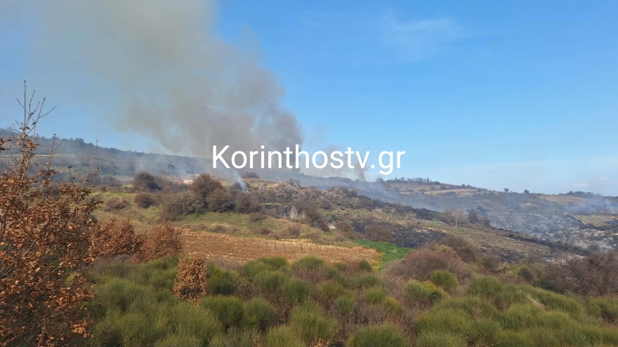 Καλύτερη η εικόνα της φωτιάς στα Σοφιανά Κορινθίας: Μεγάλη κινητοποίηση της Πυροσβεστικής, δείτε εικόνες
