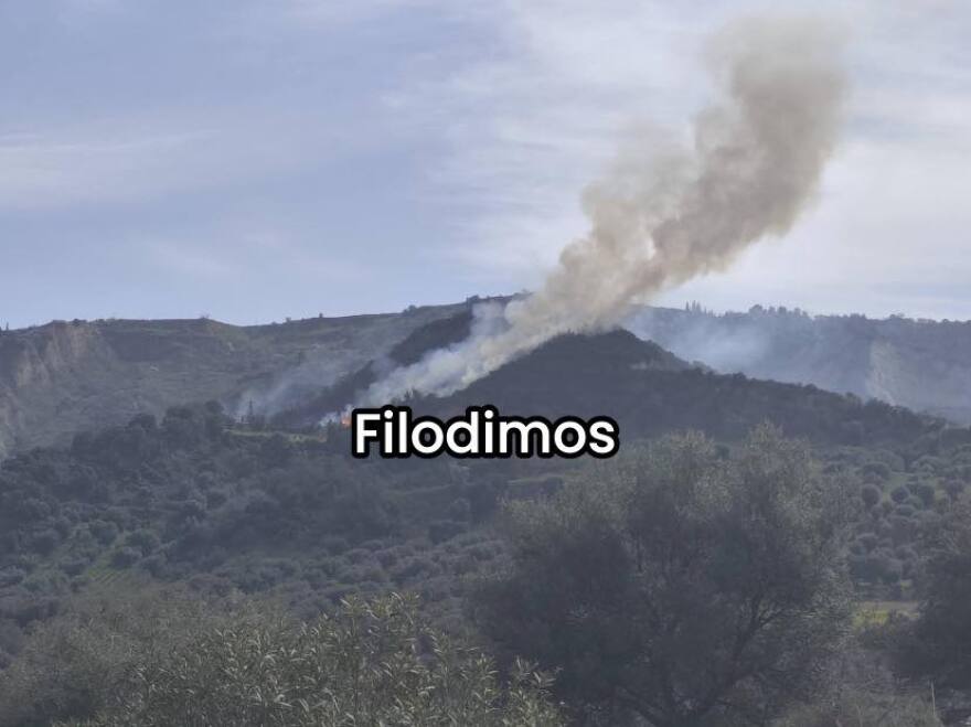 Φωτιά τώρα στην Αρραβωνίτσα Αχαΐας, μεγάλη κινητοποίηση της Πυροσβεστικής