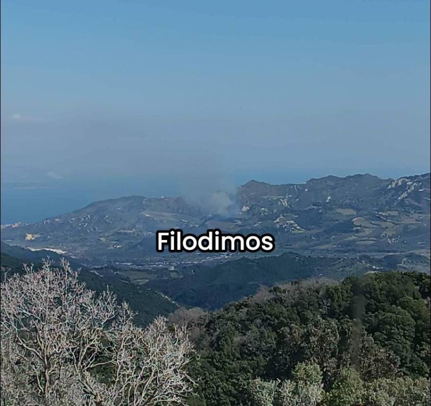 Φωτιά τώρα στην Αρραβωνίτσα Αχαΐας, μεγάλη κινητοποίηση της Πυροσβεστικής