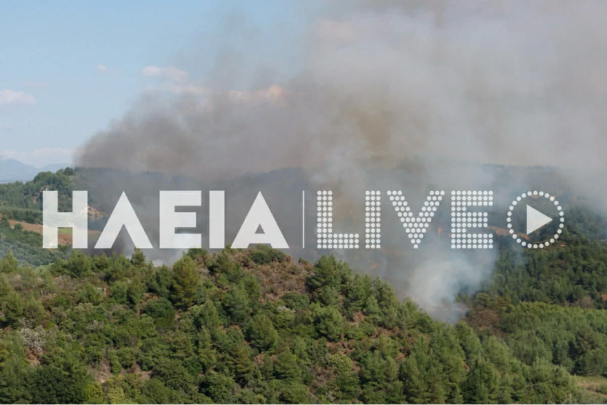 Μαίνεται το πύρινο μέτωπο σε δάσος στα Βυτιναίικα Πύργου Ηλείας