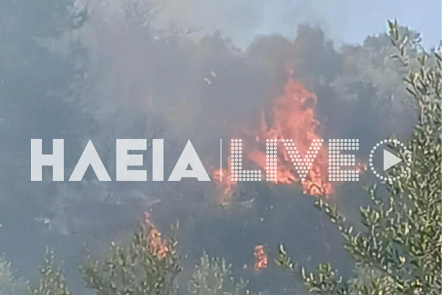 Μαίνεται το πύρινο μέτωπο σε δάσος στα Βυτιναίικα Πύργου Ηλείας