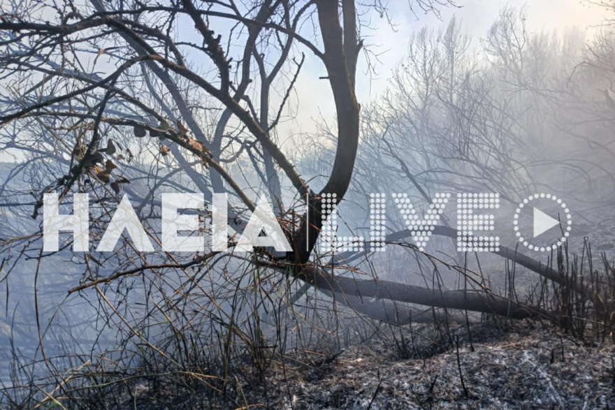 Μαίνεται το πύρινο μέτωπο σε δάσος στα Βυτιναίικα Πύργου Ηλείας