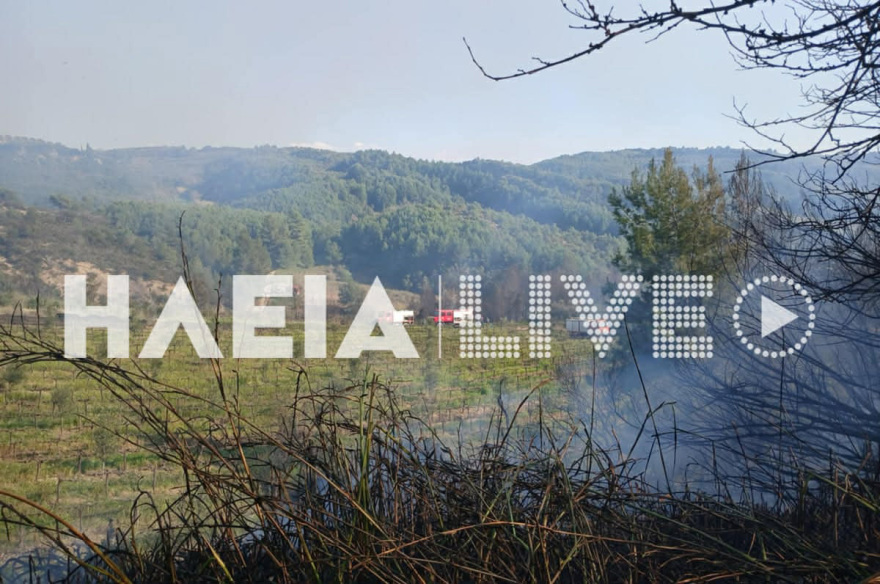 Μαίνεται το πύρινο μέτωπο σε δάσος στα Βυτιναίικα Πύργου Ηλείας