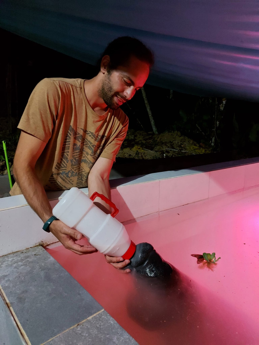 Ο κτηνίατρος που γύρισε από τη ζούγκλα: Ο Μανώλης Κουμαντάκης έσωσε μυρμηγκοφάγο στον Αμαζόνιο και τώρα περιθάλπει ιγκουάνα στην Αθήνα, δείτε φωτογραφίες