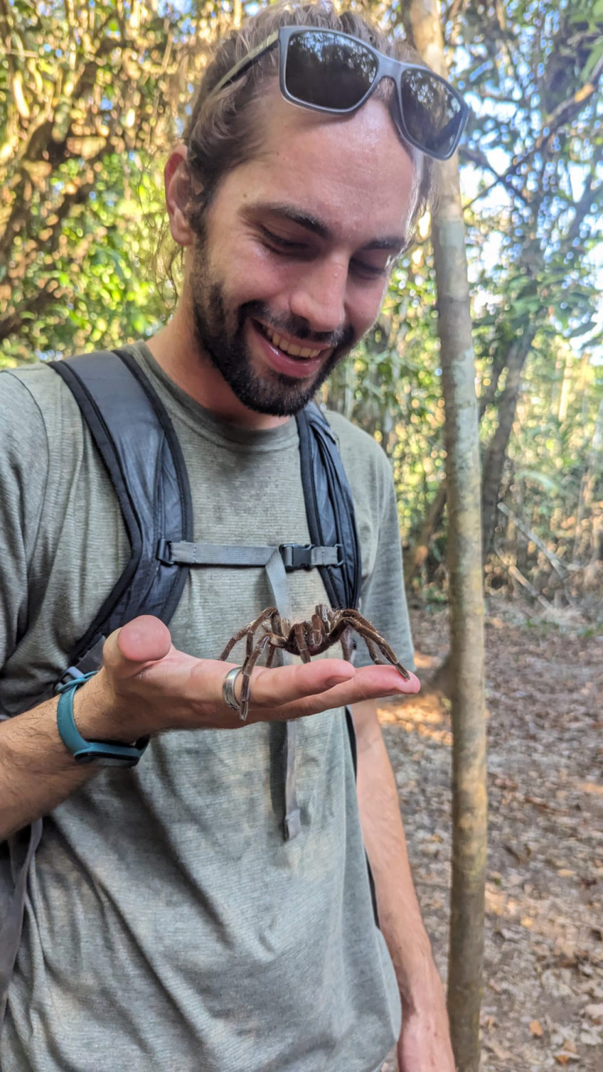 Ο κτηνίατρος που γύρισε από τη ζούγκλα: Ο Μανώλης Κουμαντάκης έσωσε μυρμηγκοφάγο στον Αμαζόνιο και τώρα περιθάλπει ιγκουάνα στην Αθήνα, δείτε φωτογραφίες