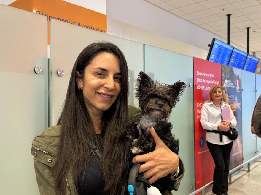 Ολοκληρώθηκε με επιτυχία η επιχείρηση «Κιβωτός», επέστρεψαν από το Ντουμπάι 90 ιδιοκτήτες με περίπου 100 ζώα, δείτε βίντεο και φωτογραφίες