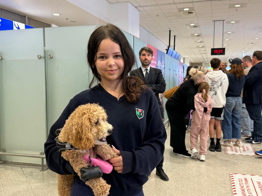 Ολοκληρώθηκε με επιτυχία η επιχείρηση «Κιβωτός», επέστρεψαν από το Ντουμπάι 90 ιδιοκτήτες με περίπου 100 ζώα, δείτε βίντεο και φωτογραφίες