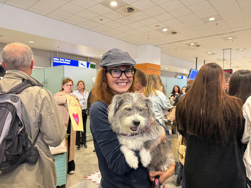 Ολοκληρώθηκε με επιτυχία η επιχείρηση «Κιβωτός», επέστρεψαν από το Ντουμπάι 90 ιδιοκτήτες με περίπου 100 ζώα, δείτε βίντεο και φωτογραφίες