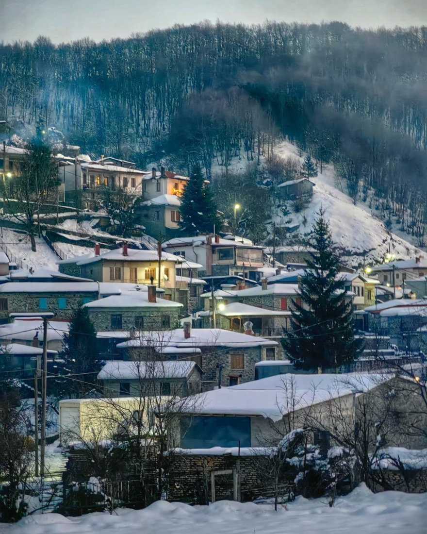 Μηλιά Μετσόβου: Το χωριό που βαλσάμωσε αρκούδα και τη τοποθέτησε στην πλατεία του