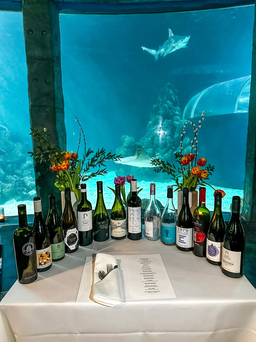Great Greek Wines: Στοχευμένη εξωστρέφεια σε Γερμανία και Πολωνία για το σύγχρονο ελληνικό κρασί