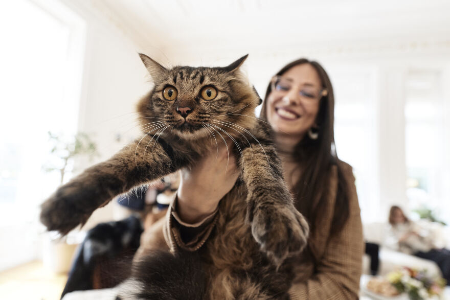 mitsotakis-katoikidia-13