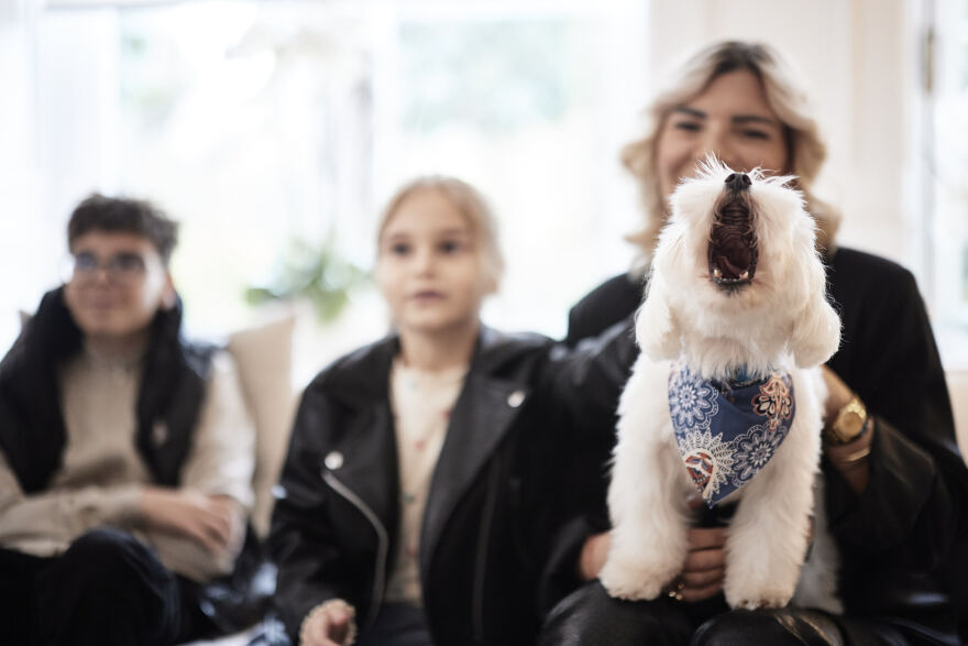 mitsotakis-katoikidia-14