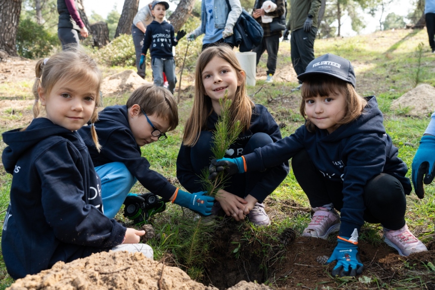 Πρόγραμμα φύτευσης 6.000 δέντρων για την ενίσχυση του παράκτιου πευκοδάσους της Σάνης στη Χαλκιδική