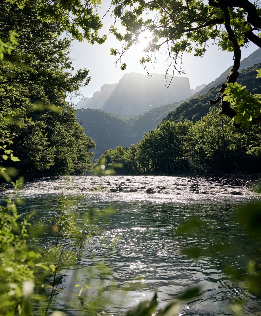 Η σημασία του πιο πολύτιμου αγαθού ζωής: Πώς το νερό στηρίζει οργανισμό και περιβάλλον