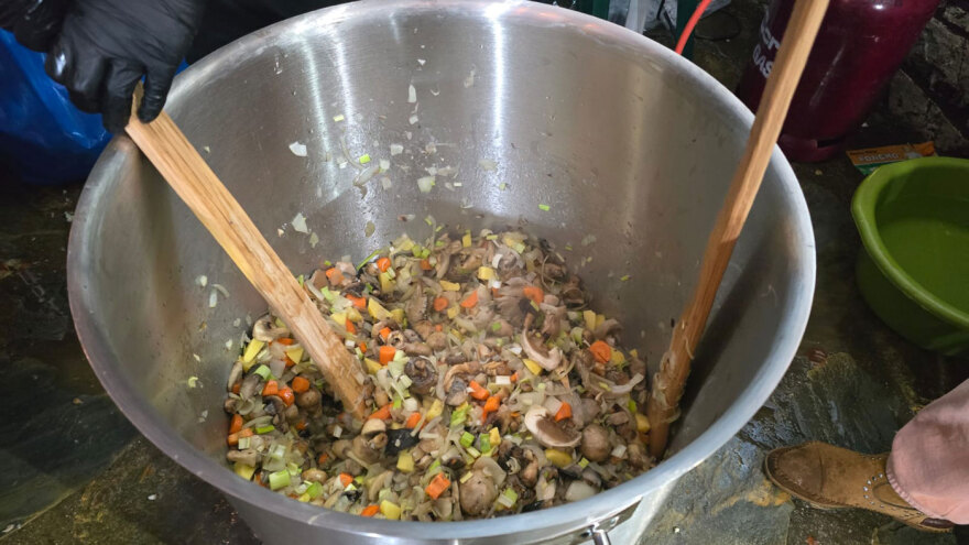 Οι φίλοι των μανιταριών καλωσόρισαν την άνοιξη στη Λίμνη Πλαστήρα, δείτε βίντεο και φωτογραφίες