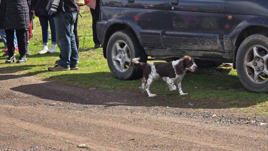 Οι φίλοι των μανιταριών καλωσόρισαν την άνοιξη στη Λίμνη Πλαστήρα, δείτε βίντεο και φωτογραφίες