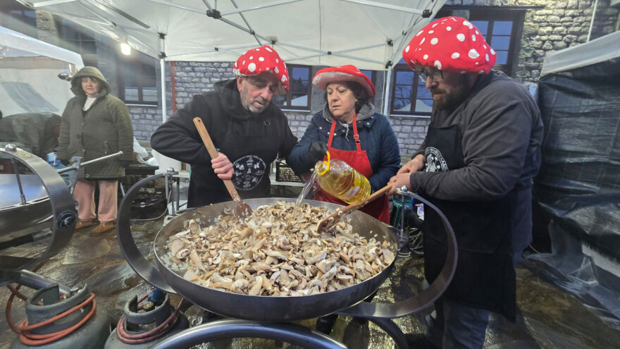 Οι φίλοι των μανιταριών καλωσόρισαν την άνοιξη στη Λίμνη Πλαστήρα, δείτε βίντεο και φωτογραφίες