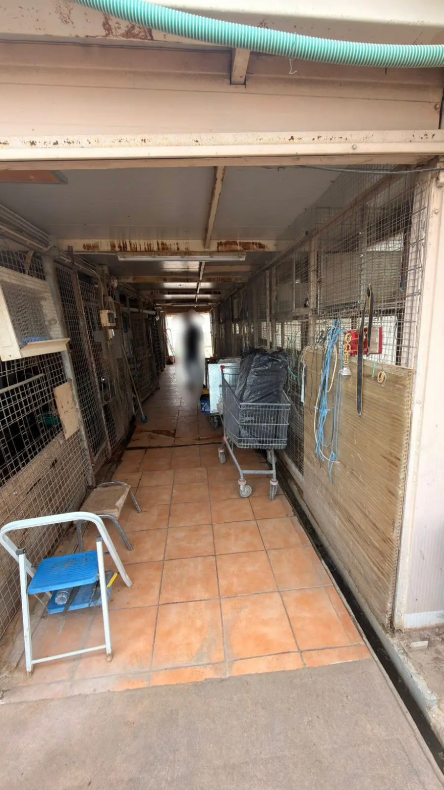 Δικογραφία για παράνομη εκτροφή ζώων στην ταράτσα στους Αμπελόκηπους: Κατσίκες, κότες, πάπιες σε ακατάλληλες συνθήκες διαβίωσης, βίντεο και φωτογραφίες